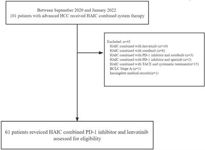 Efficacy and safety of hepatic arterial infusion chemotherapy combined with programmed cell death protein-1 antibody and lenvatinib for advanced hepatocellular carcinoma